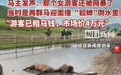 游客骑马相撞马死人伤，涉事女游客赔马主人3万元冤枉吗？多方回应